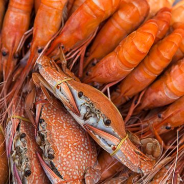 Glucosamine HCl (from Shrimp & Crab)