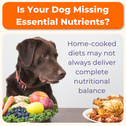 Multivitamin Daily Support