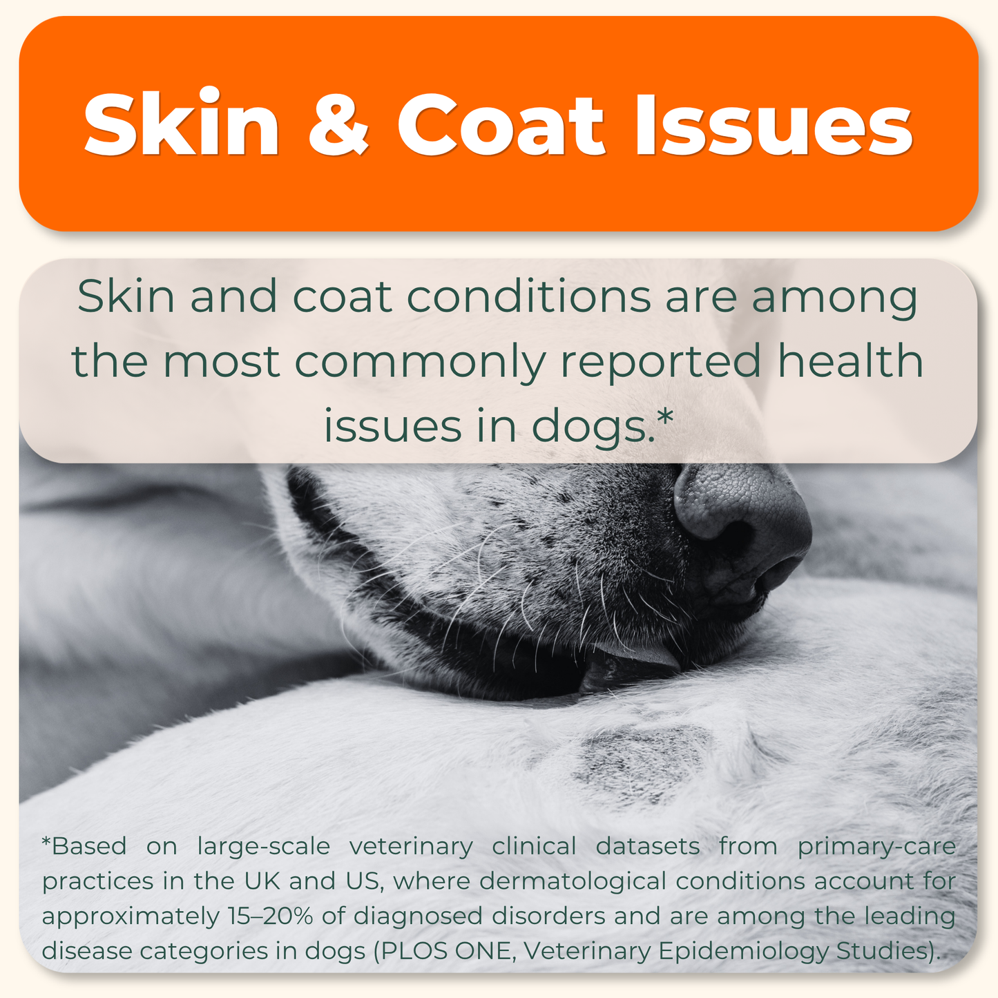 Skin & Coat Advanced Support