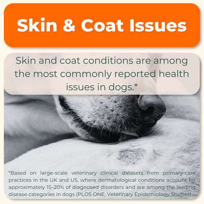 Skin & Coat Advanced Support