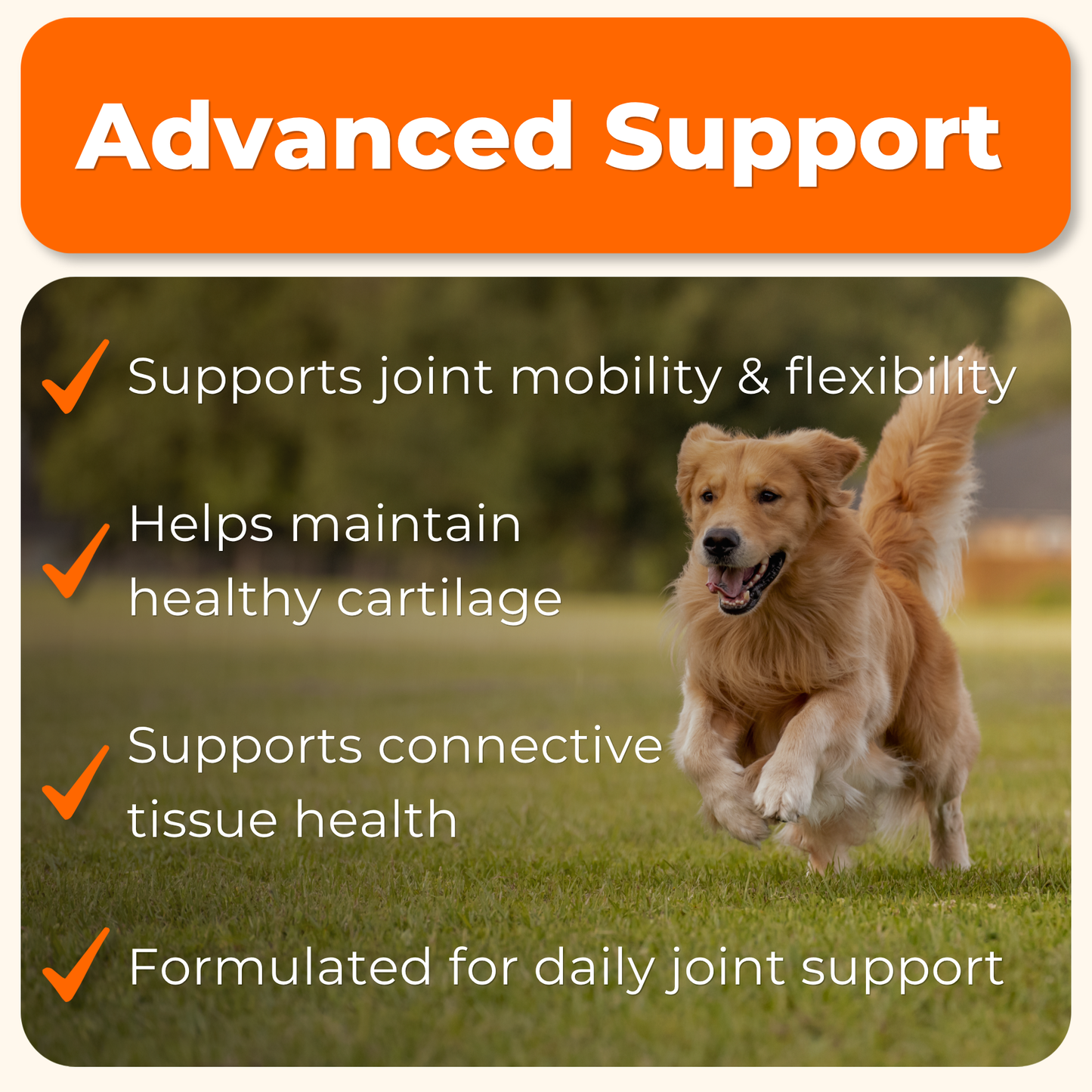 Hip & Joint Advanced Support
