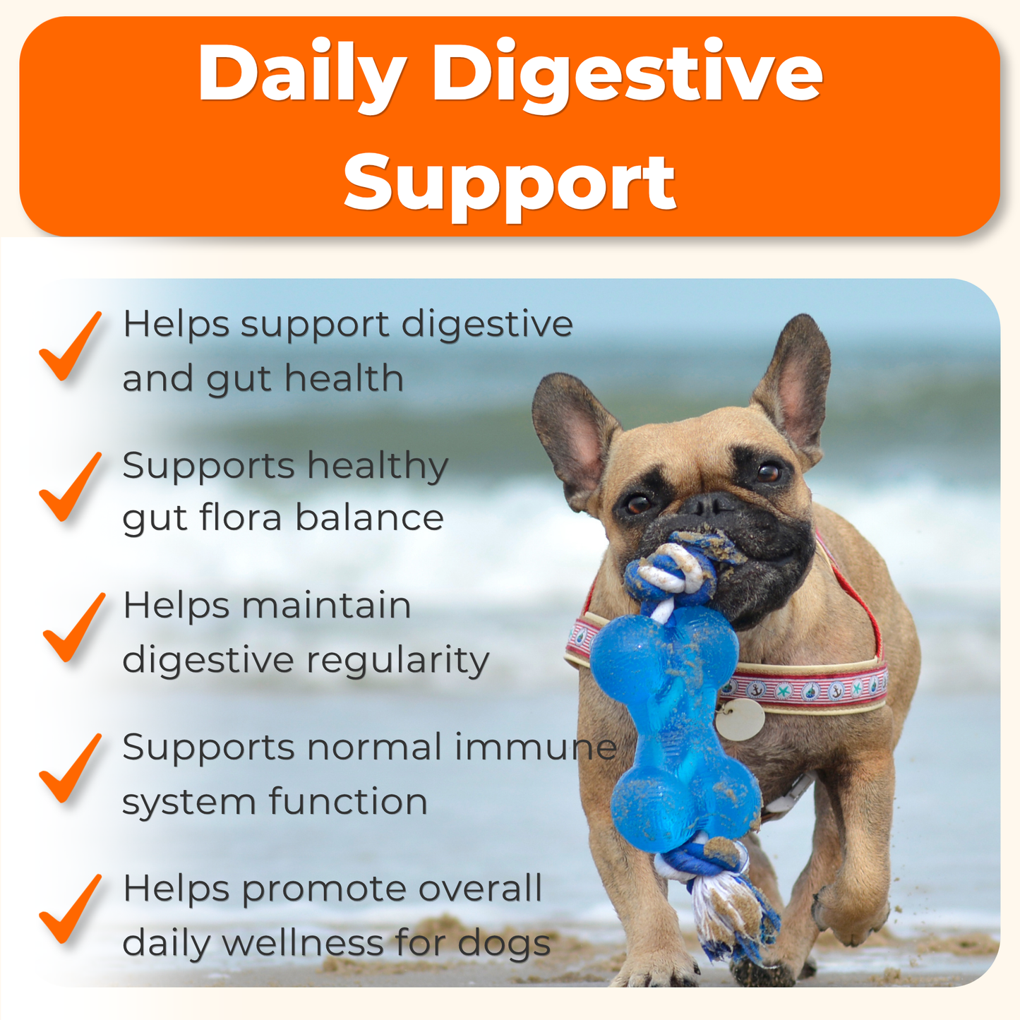 Probiotic Daily Support