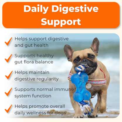Probiotic Daily Support