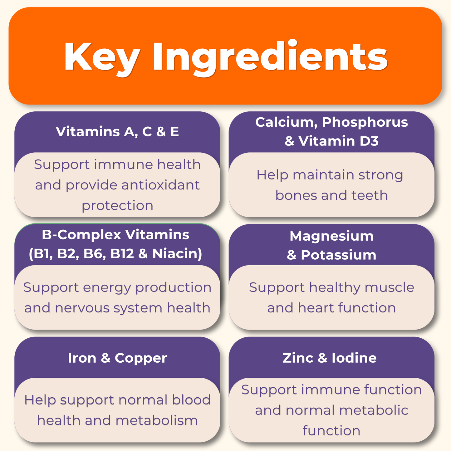 Multivitamin Daily Support