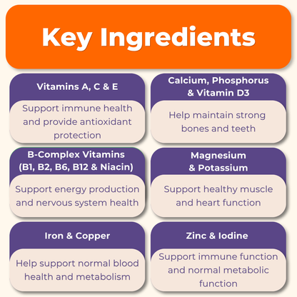 Multivitamin Daily Support