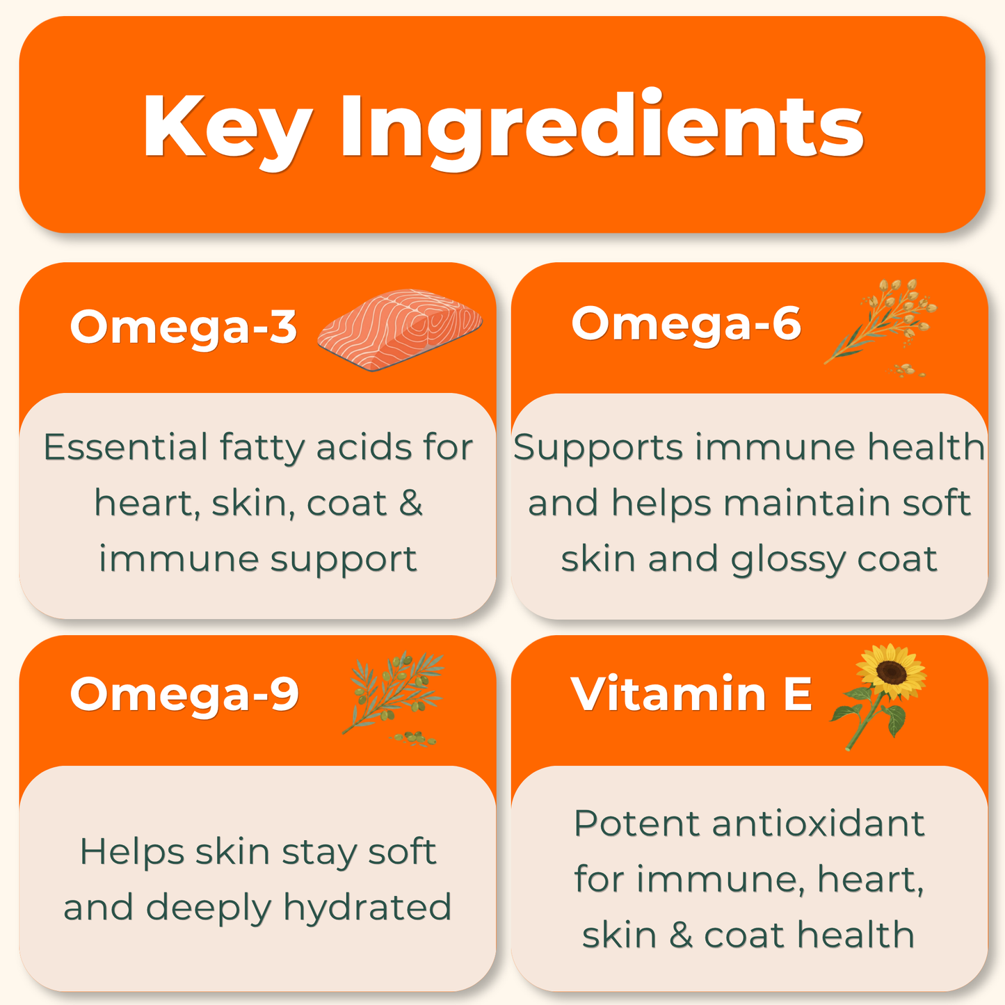 Skin & Coat Advanced Support