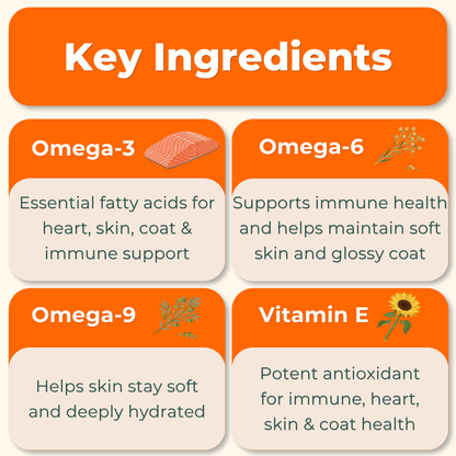 Skin & Coat Advanced Support