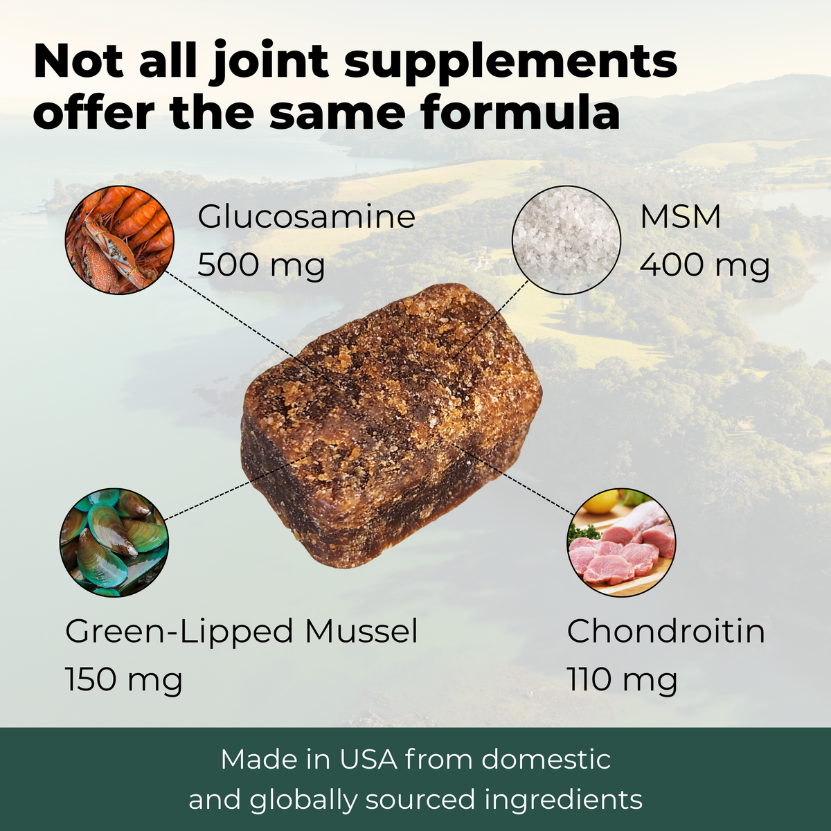 Hip & Joint Advanced Support