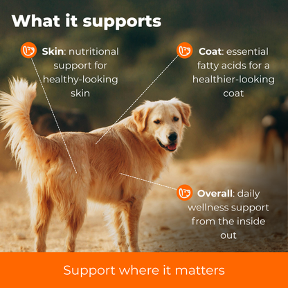 Skin & Coat Advanced Support