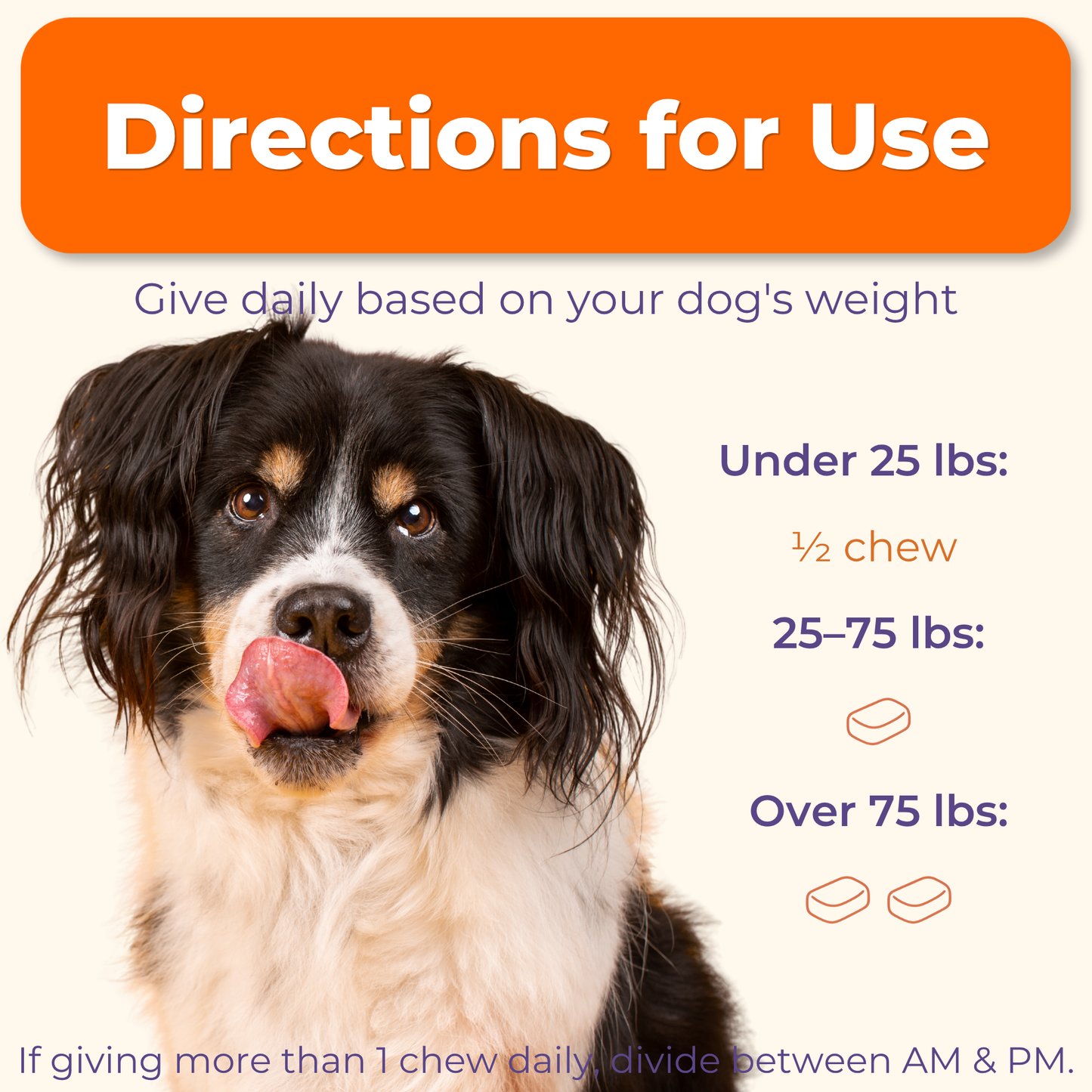 Multivitamin Daily Support