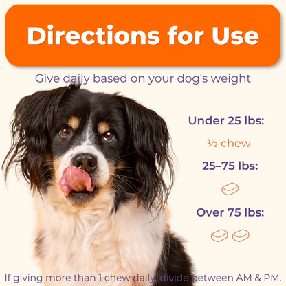 Multivitamin Daily Support