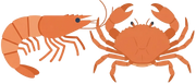 Glucosamine HCl (from Shrimp & Crab)
