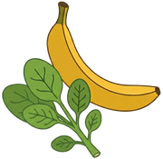 Magnesium & Potassium