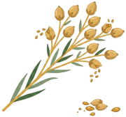 Omega-6 Fatty Acids (Linoleic Acid, Flaxseed & Safflower Oil)