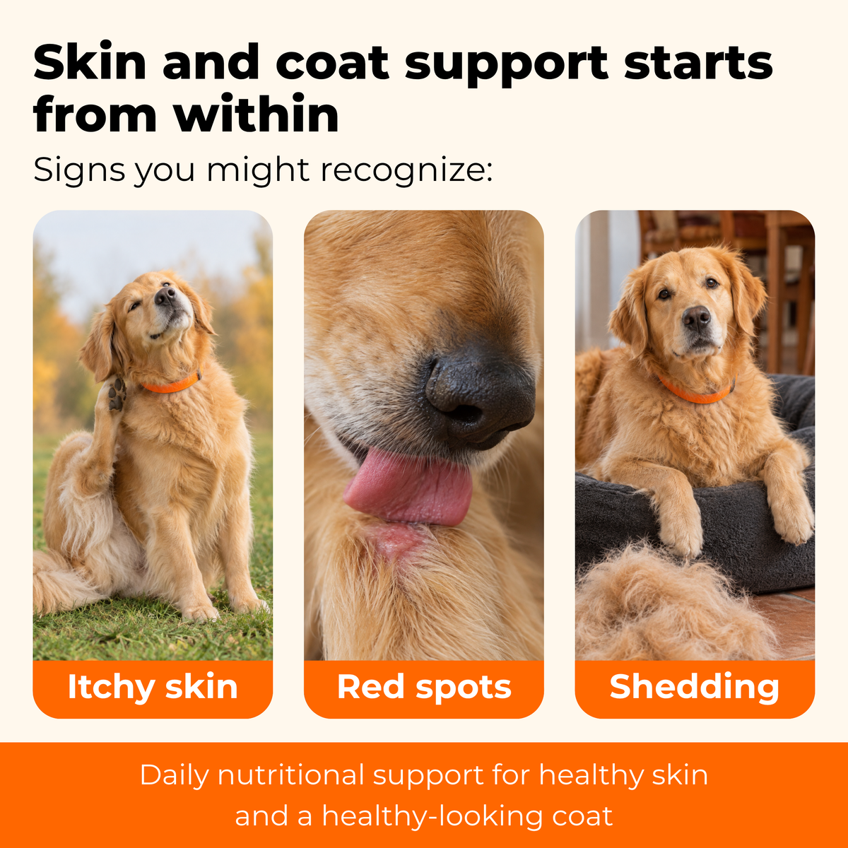 Skin & Coat Advanced Support