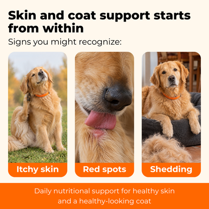 Skin & Coat Advanced Support